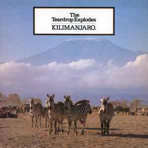 The Teardrop Explodes Kilimanjaro Mercury - Zoo Records 1981 - LP