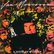 Van Morrison A Sense Of Wonder Mercury 1984 - LP