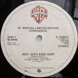 Funkadelic (Not Just) Knee Deep / One Nation Under A Groove Warner Bros. Records 1979 - 12"