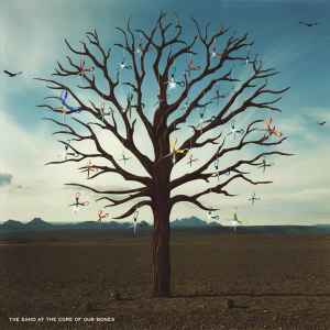 Biffy Clyro Opposites 14th Floor Records - Warner Bros. Records 2013 - 2xLP