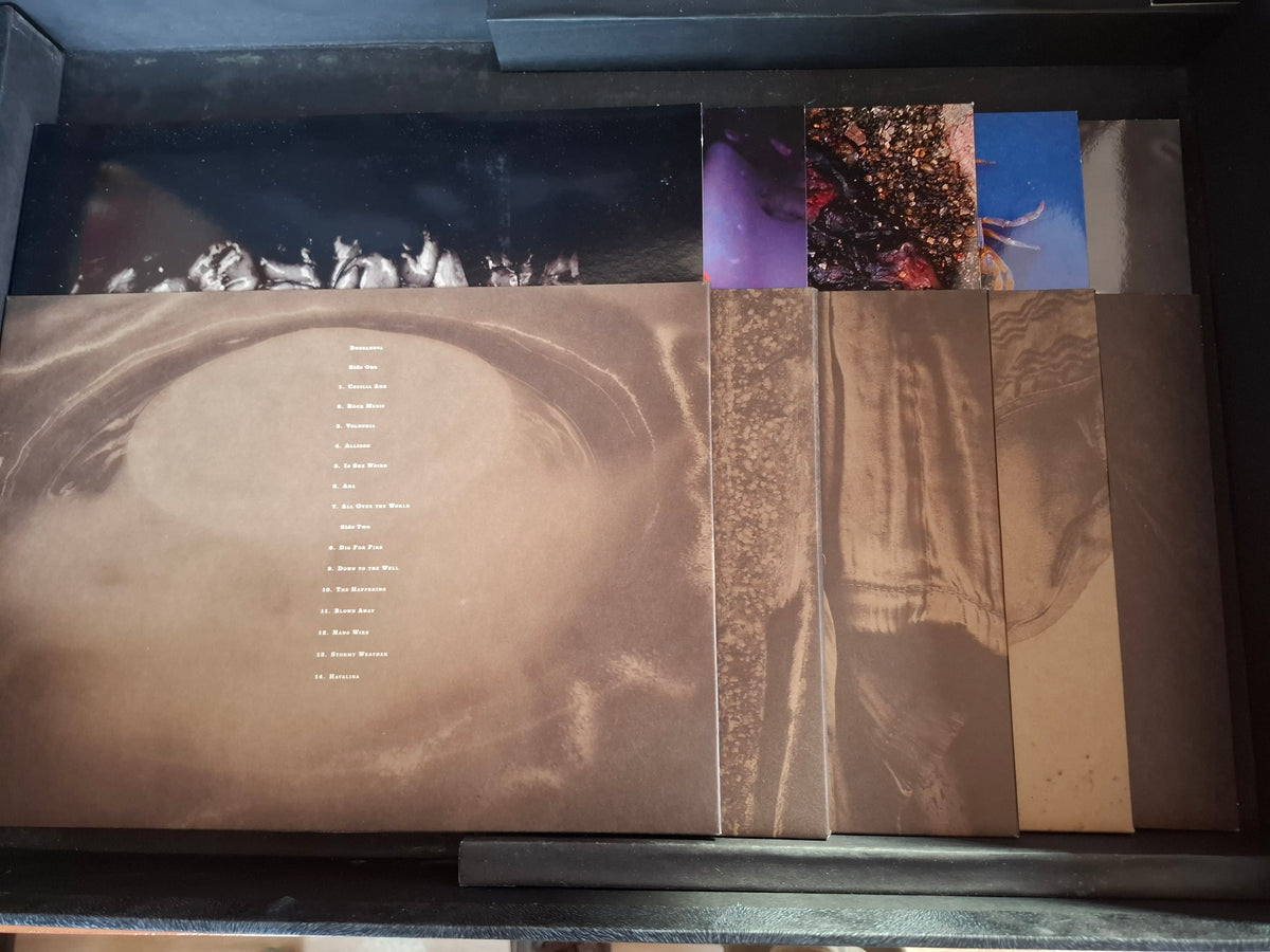 Pixies Minotaur Artist In Residence 2009 - Box Set- 4xLPs - CDs - DVDs - Book - Poster - Signed