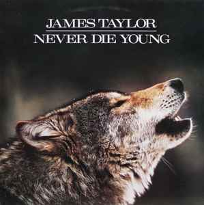 James Taylor (2) - Never Die Young LP, Album CBS CBS 460434 1 1988 Europe