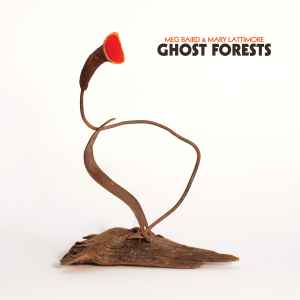Meg Baird & Mary Lattimore - Ghost Forests LP, Album, Ltd Three Lobed Recordings TLR-125 2018 US