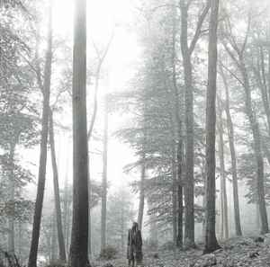 Taylor Swift Folklore Republic Records Deluxe Edition "In The Trees" EU - CD