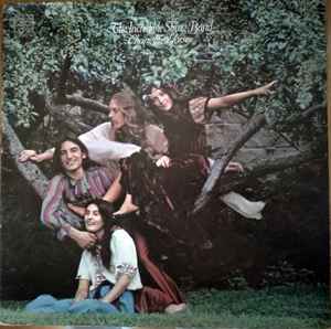 The Incredible String Band Changing Horses Elektra 1969 - LP Gat
