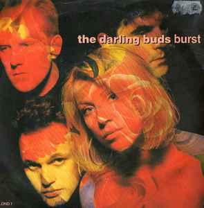 The Darling Buds – Burst – Epic – 7" – 1988