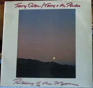 Terry Dolan / Terry And The Pirates Rising Of The Moon Line Records - 1984 - LP