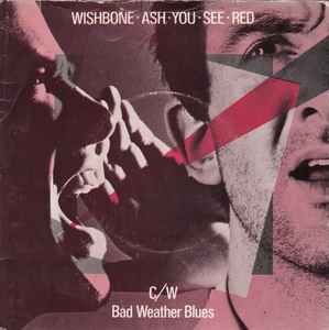 Wishbone Ash - You See Red - MCA Records - 7" - 1978