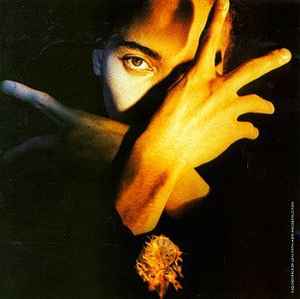 Terence Trent D'Arby Terence Trent D'Arby's Neither Fish Nor Flesh: A Soundtrack Of Love, Faith, Hope And Destruction CBS 1989 - LP